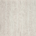 111YSW0401_1.jpg