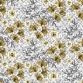 1116036-01_1.jpg