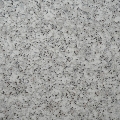 111YLM2262_1.jpg