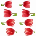 111C69003_1.jpg