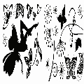 111C58107.jpg